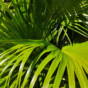 看中国人男女操逼的黄色录像
